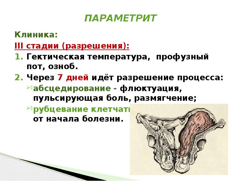 Заболевания женской репродуктивной системы презентация