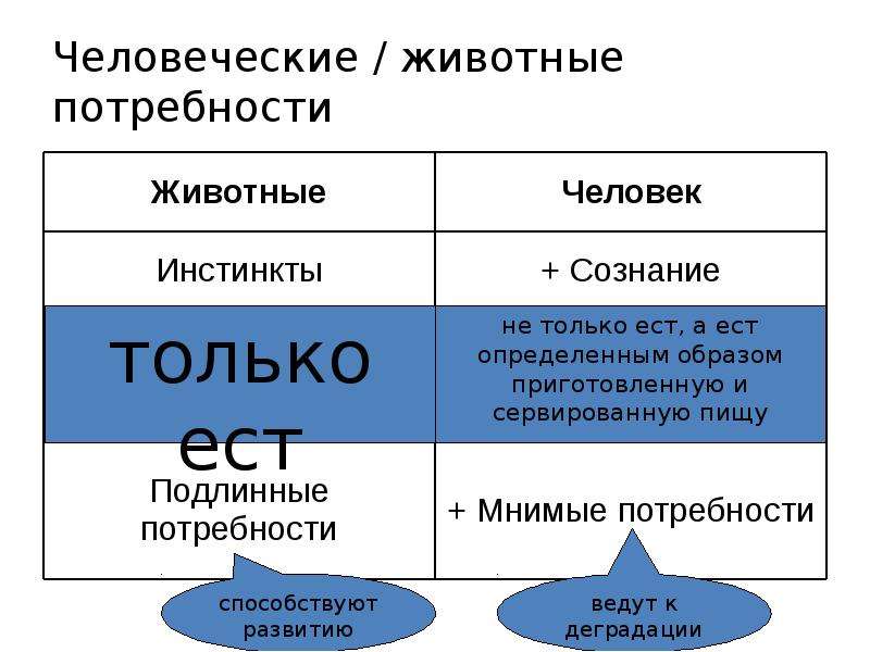 Животные потребности человека. Потребности животных. Человеческие и животные потребности. Биосоциальные потребности человека.