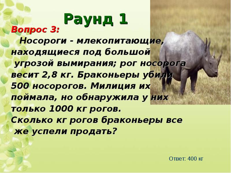 Раунд 1 Вопрос 3: Носороги - млекопитающие, находящиеся под большой угрозой вымирания; рог носорога