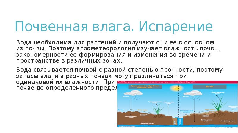 Водная почва. Влажность почвы. Тепловой и Водный режим почвы. Испарение влаги из почвы. Почвенная влага.