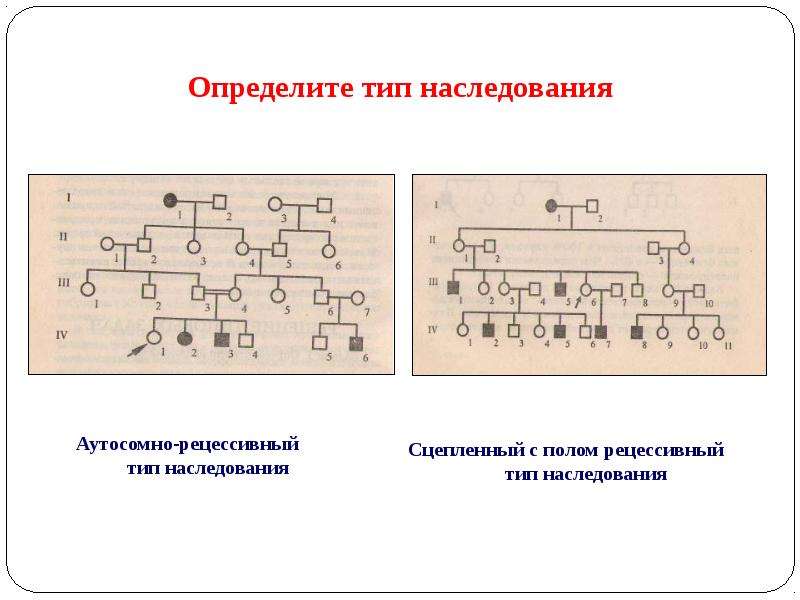 Голандрическое наследование задачи егэ. Голандрический Тип наследования метод исследования. Определяем Тип наследования по картинке. Какой Тип наследования является нетрадиционным. Методы изучения генетики человека картинки символы.