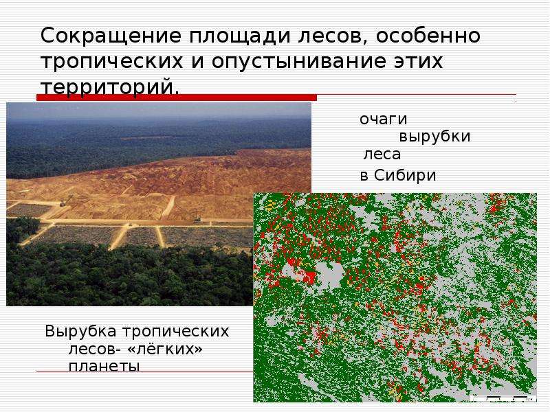 Сокращение площади лесов, особенно тропических и опустынивание этих территорий. Вырубка тропических