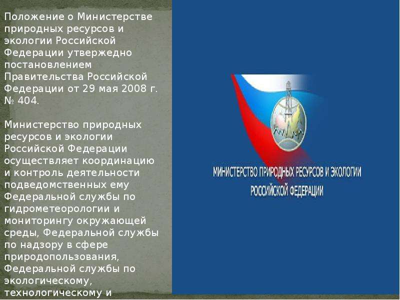 Положение о министерстве. Министерство природных ресурсов и экологии РФ ведомства. Положение о Министерстве природных ресурсов РФ. Министерство природных ресурсов Минприроды. Федеральные службы Министерства природных ресурсов.