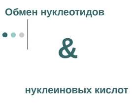 Обмен нуклеотидов