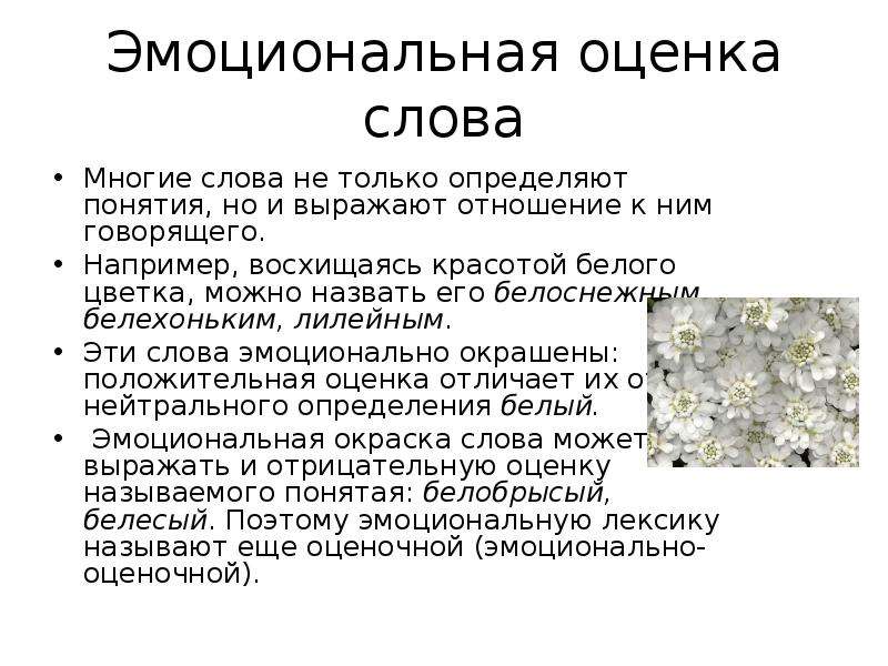 Презентация эмоционально окрашенные слова 6 класс презентация