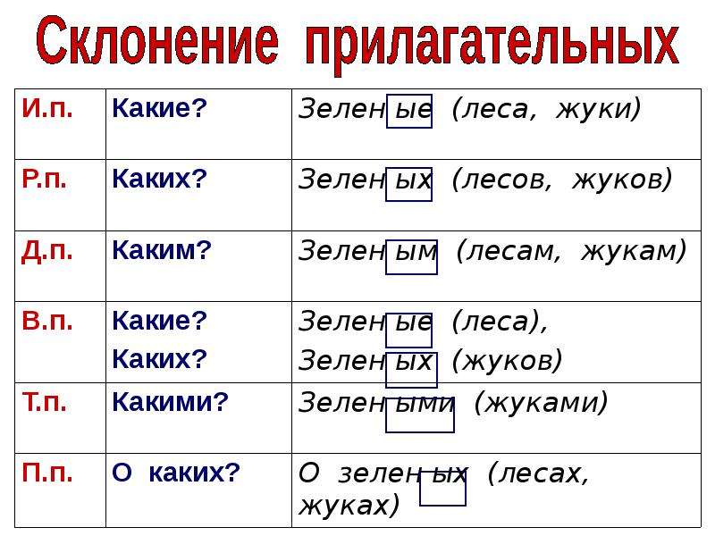 Определи склонение и падеж имен существительных. Имя прилагательное склонение по падежам. Склонение имен прилагательных. Просклонять прилагательное по падежам. Падежи имен прилагательных.