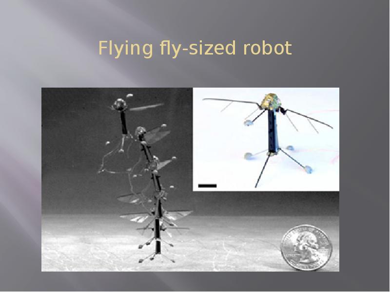 Flying fly-sized robot