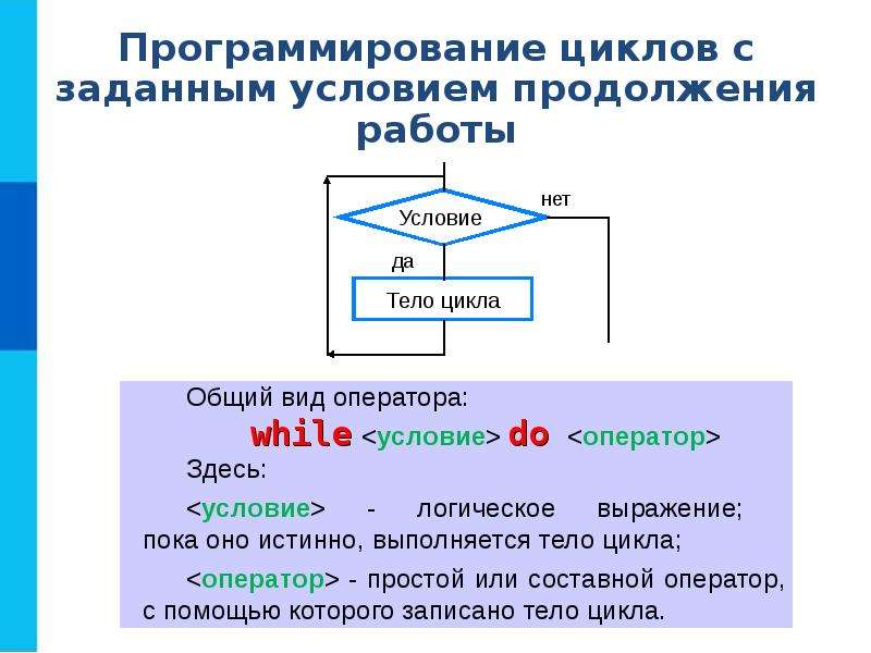 Программирование проект 10 класс