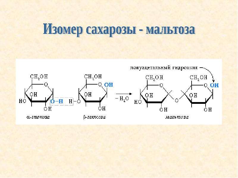 Олигосахариды сахароза презентация 10 класс