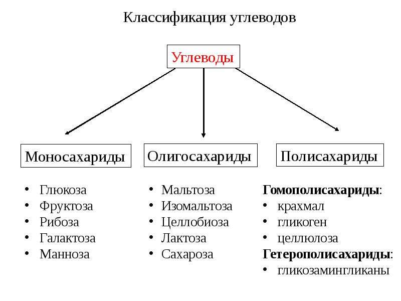 Углеводы их классификация презентация