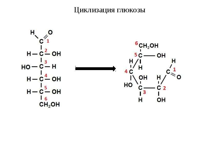 5 молекул глюкозы. Циклизация Глюкозы. Циклизация рибозы. Циклизация моносахаридов. Циклизация d-Глюкозы.