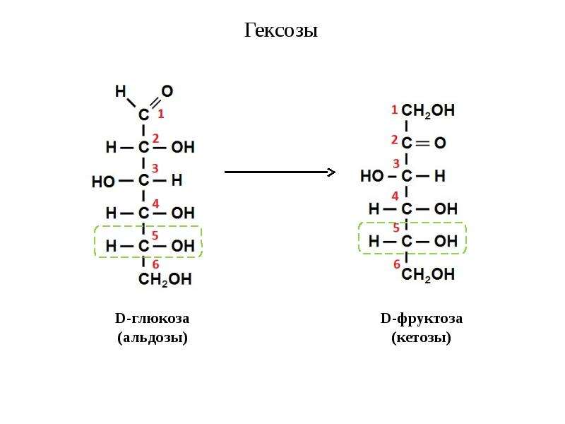 Гексоза это. Галактоза альдоза. Фруктоза кетоза гексоза. Альдозы формула Глюкозы. D Глюкоза и d фруктоза.