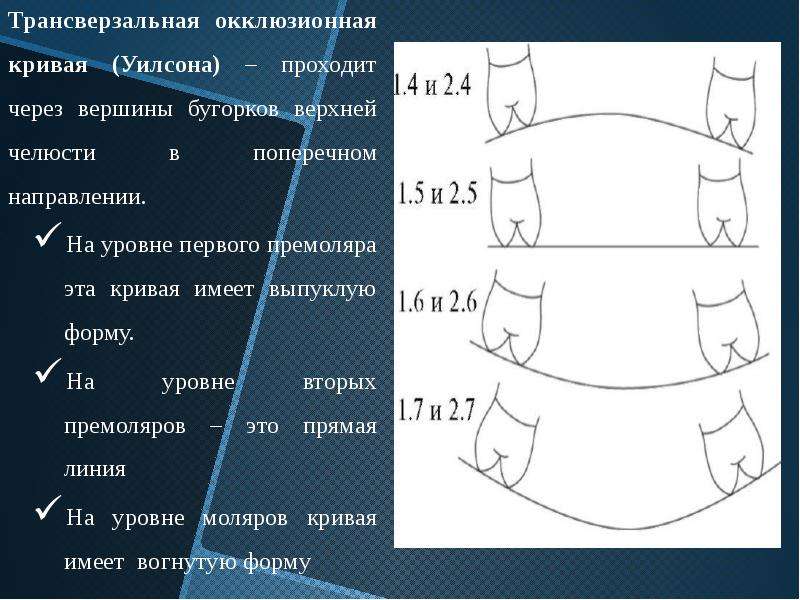 Окклюзионная схема кувата