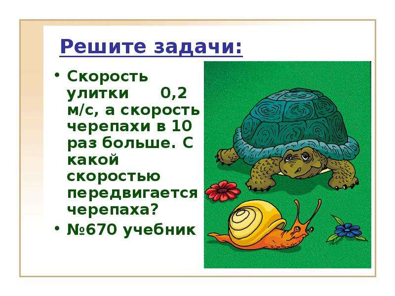 Скорость улитки в минуту. Скорость черепахи. Черепаха движется. Черепаха скорость передвижения. Скорость черепахи на суше.