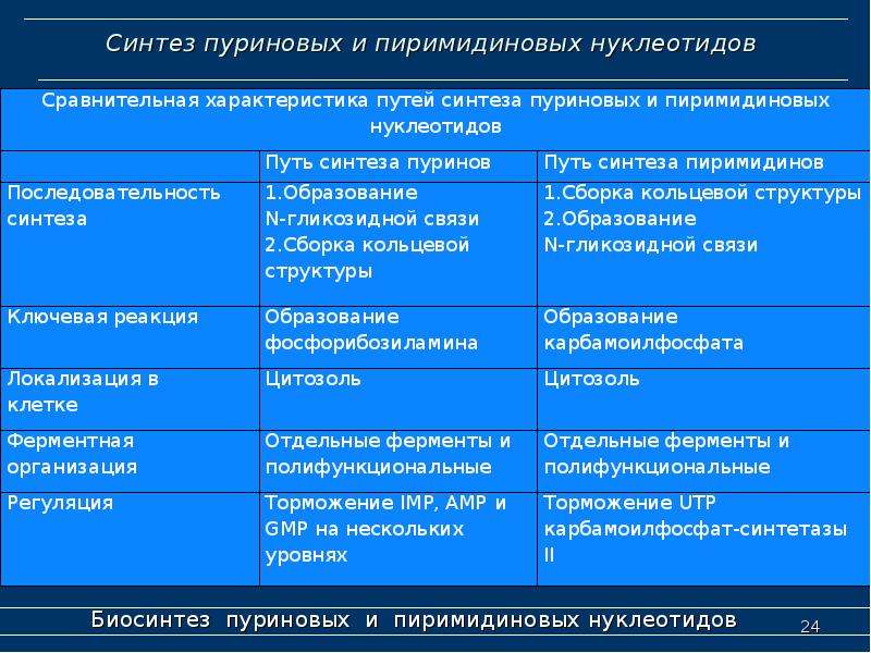 Таблица синтез. Синтез пуриновых и пиримидиновых нуклеотидов. Регуляторные ферменты синтеза пуриновых нуклеотидов и их ингибиторы. Регуляторные ферменты синтеза пуриновых нуклеотидов. Синтез пуриновых нуклеотидов ферменты.