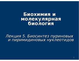 Биосинтез пуриновых и пиримидиновых нуклеотидов. (Лекция 5)