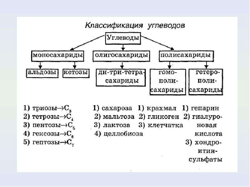 Презентация по теме моносахариды