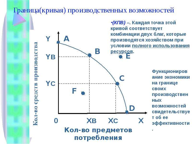 Виды производственных кривых