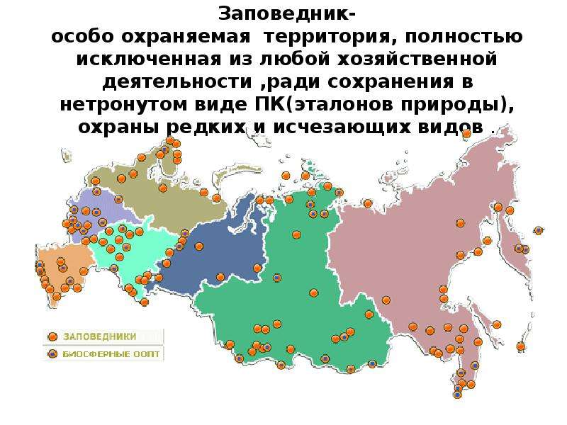 Таблица охраняемые территории россии. Охраняемые природные территории РФ. Особо охраняемые территории. ООПТ В мире.