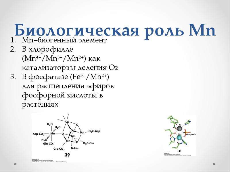 Mn элемент. MN элемент Подгруппа. Роль MN. MN роль в организме. Биогенные элементы MN.