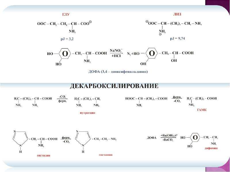 Пептиды презентация 10 класс углубленный уровень - 80 фото