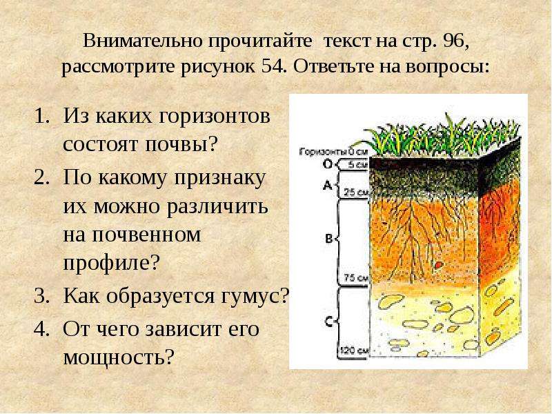 Установите последовательность образования почвы. Схема образования почвы. Из чего состоит почва. Почвенный профиль рисунок. Мощность почвенного профиля.