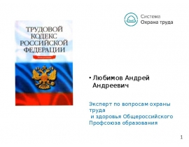 Materiali-Lubimov II часть