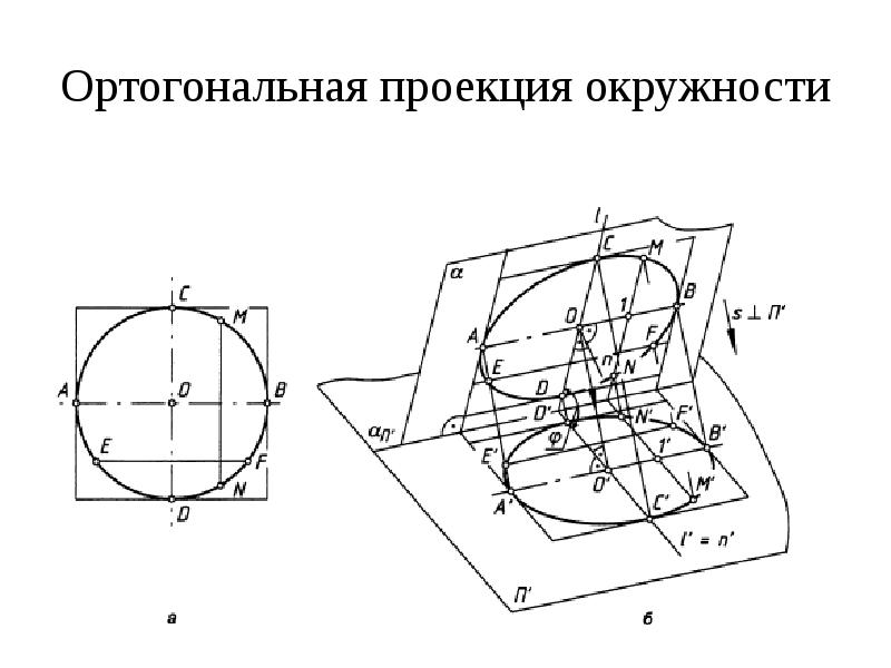 Проекция окружности