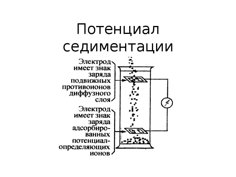 Седиментация анализ. Седиментация в дисперсных системах. Процесс обратный седиментации. Уровень седиментации. Потенциал седиментации отличия от электрофореза.