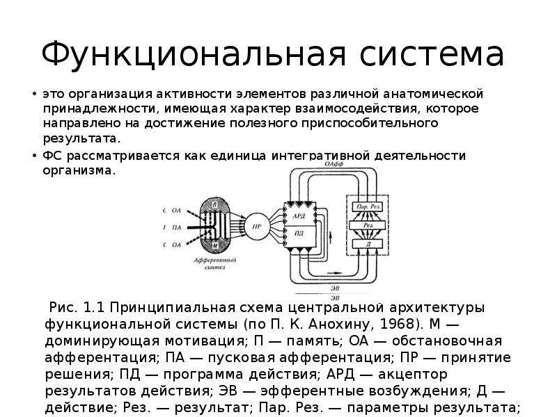 Виды функциональных систем