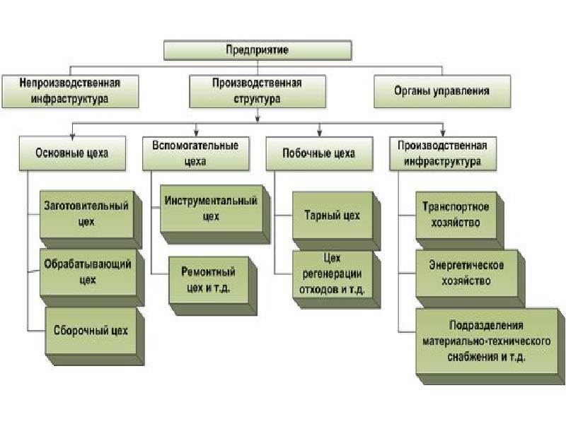 Подразделение цеха. Производственная структура цеха схема предприятия. Схема производственной структуры предприятия завод. Структура промышленного предприятия схема. Производственная структура предприятия схема на примере.