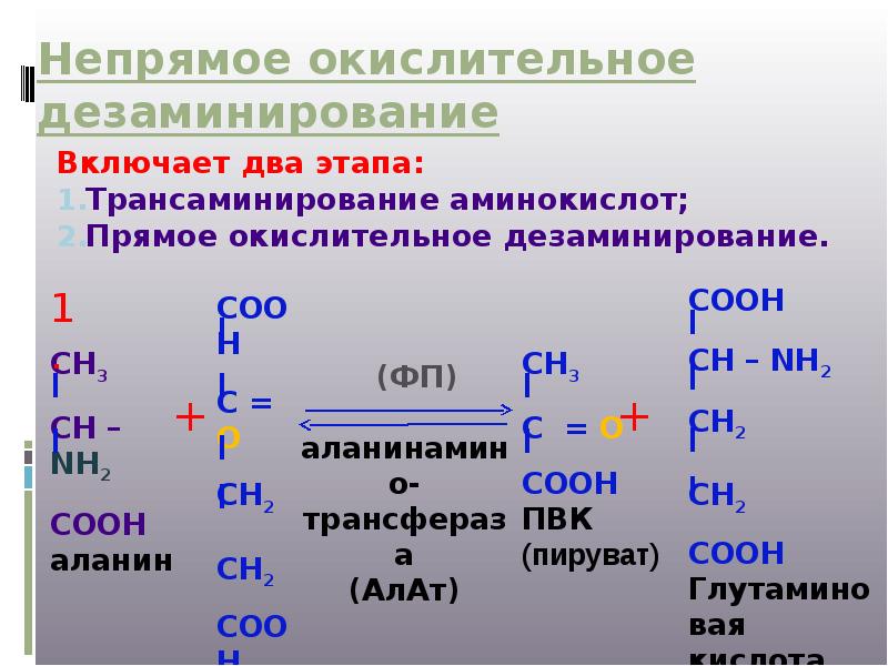 Непрямое окислительное дезаминирование. Непрямое окислительное дезаминирование аминокислот. Схема реакции дезаминирования аминокислот Непрямое. Непрямое окислительное дезаминирование аланина. Прям окислителтное дезаминировн.