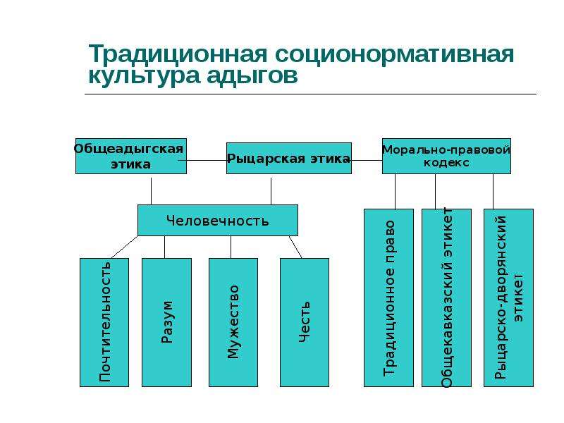 Адыгский днк проект