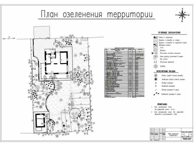 Чертеж озеленения территории