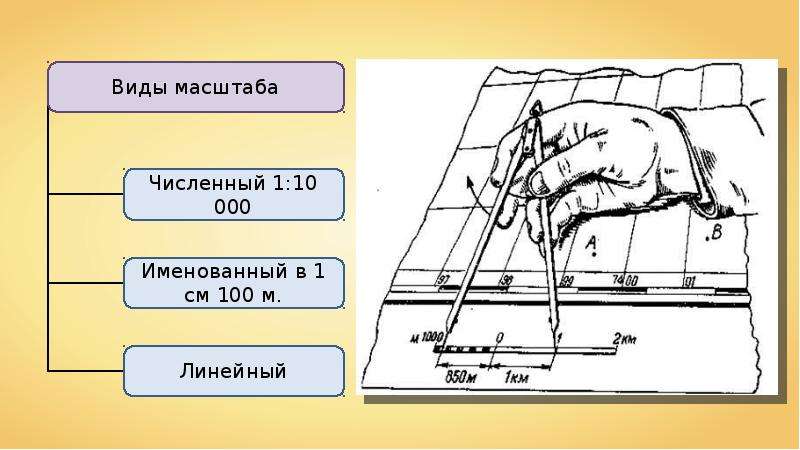 С помощью масштаба карты. Виды масштаба 1:10 000. 100 М.В виде линейного масштаба. Поперечный масштаб 1 500. Как выглядит масштаб 1 : 2500 в именнованном виде?.