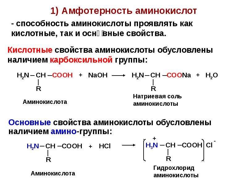 Пептиды химия 10 класс презентация