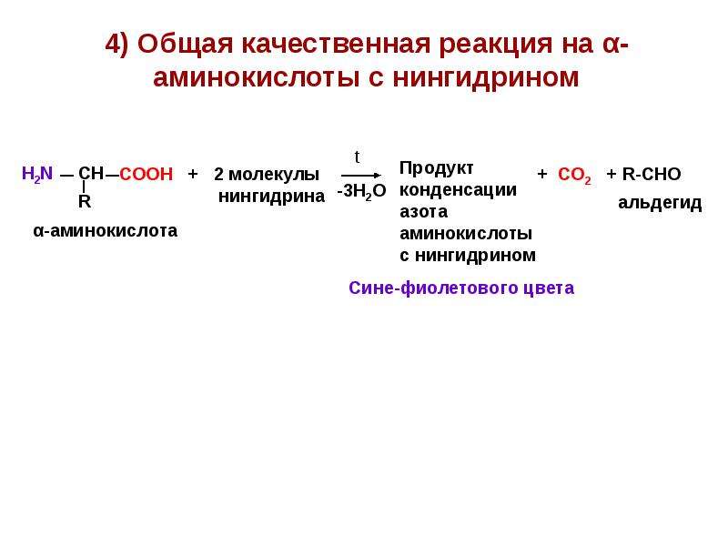 Презентация по химии аминокислоты белки