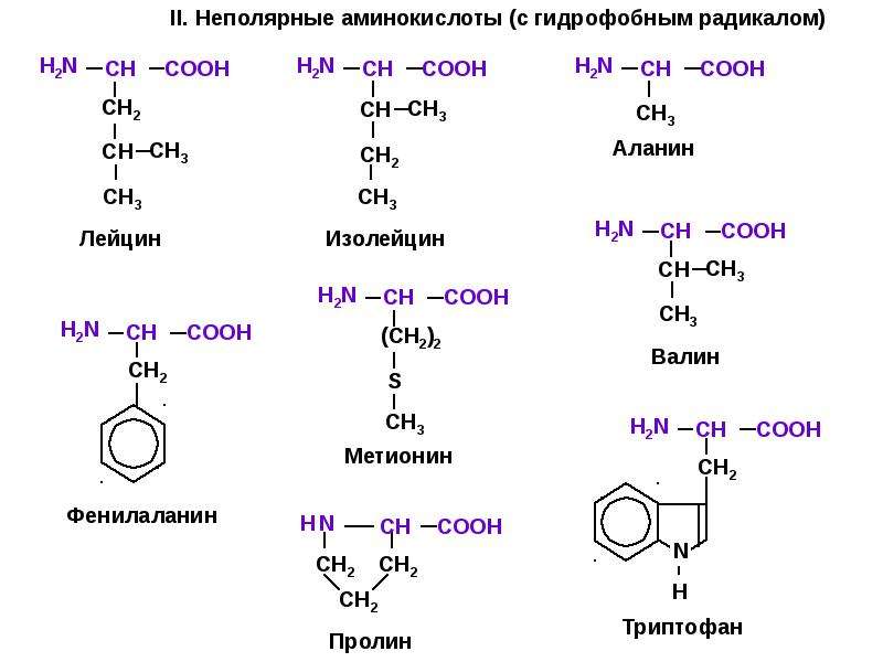 Тех карта аминокислоты