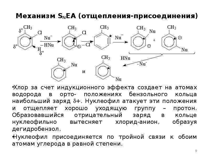 Орто положение