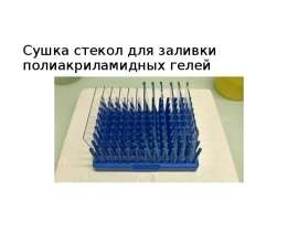 Сушка стекол для заливки полиакриламидных гелей