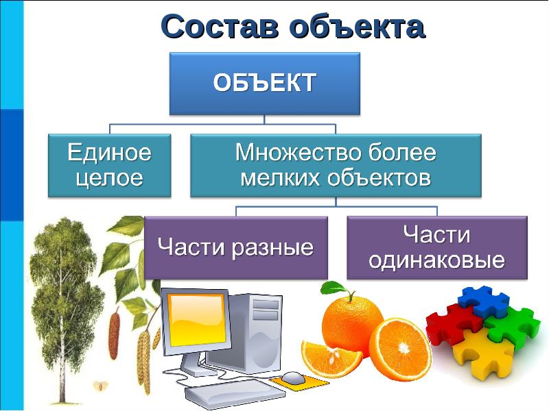 Итоговый проект по информатике 6 класс презентация объект окружающего мира