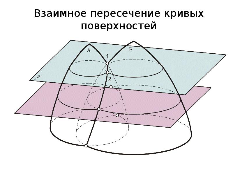 Кривые поверхности