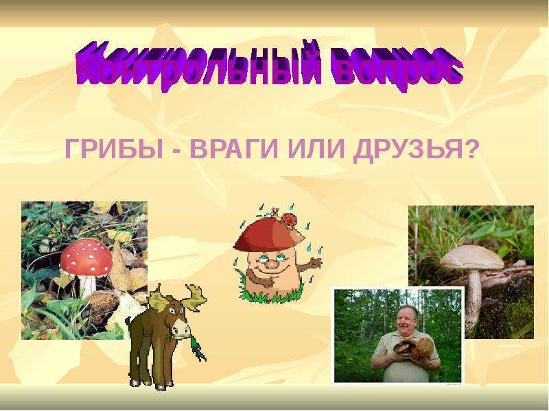 Проект грибы друзья или враги