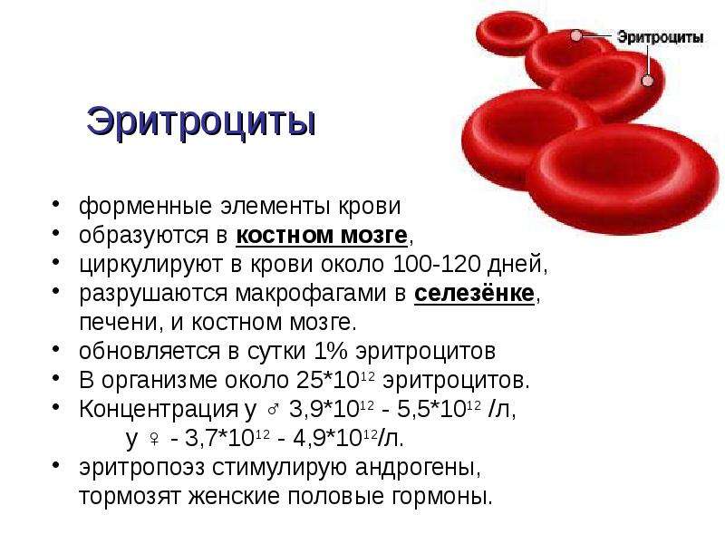 Повышенный гемоглобин и эритроциты в крови. Много эритроцитов в крови. Если повышены эритроциты в крови. Эритроциты в крови 15. Процент эритроцитов в крови.