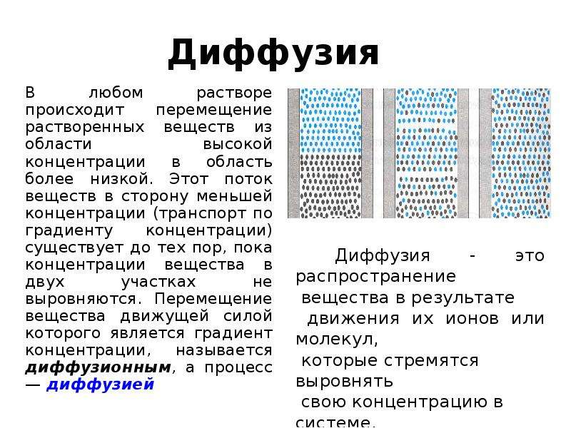 Диффузия по градиенту концентрации. Транспорт веществ по градиенту концентрации. Диффузия из высокой концентрации в низкую.