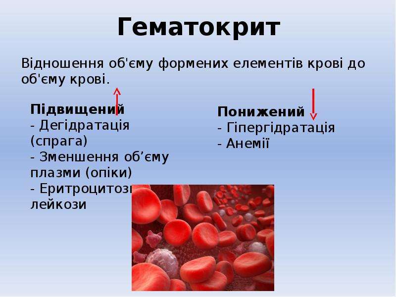 Гематокрит это простыми словами