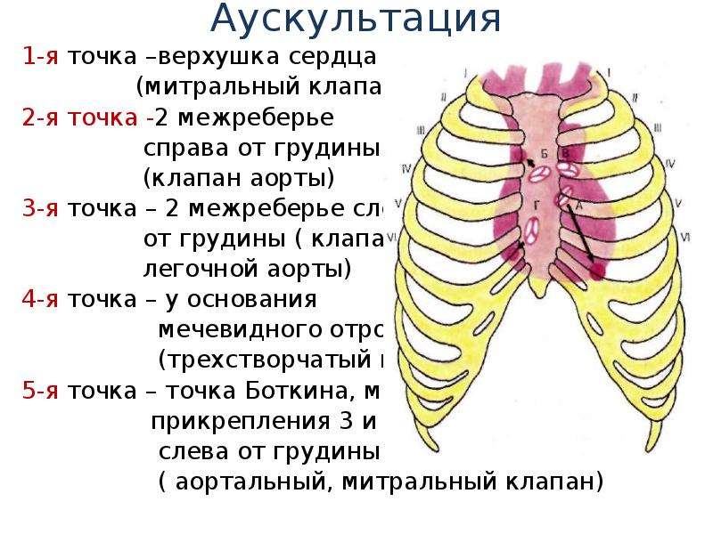 Е 6 точка. 2 Межреберье справа от грудины точка выслушивания. 2 Тон во 2 межреберье слева.