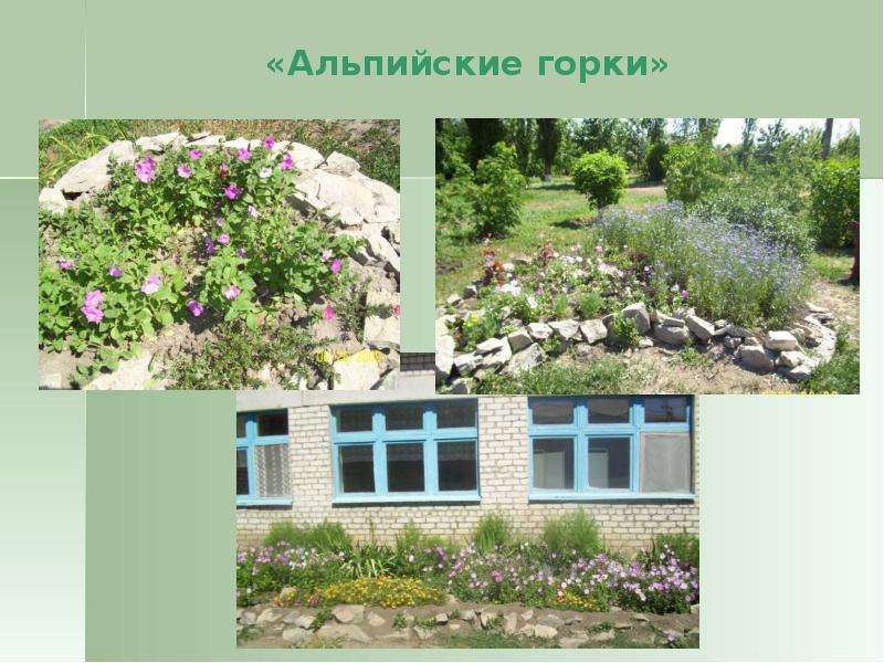 Мир растения школа. Презентация альпийской горки. Альпийская горка на школьном дворе. Цветы для школьного двора презентация. Оформление школьного двора презентация.