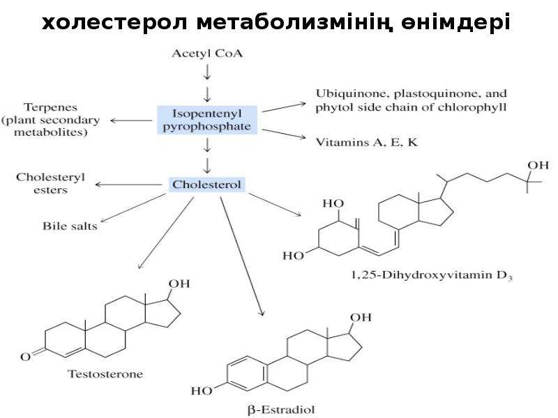 Холестерол. Холестерол название систематическое. Колестрол. Холестерол формула. Холестерол формула биохимия.