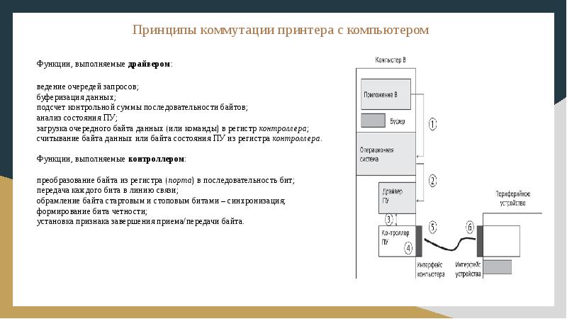 Принцип 15